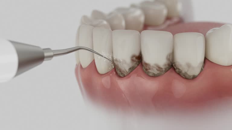 Reliable Dental contractor in Pasadena Hills, FL by Dentist Open Now